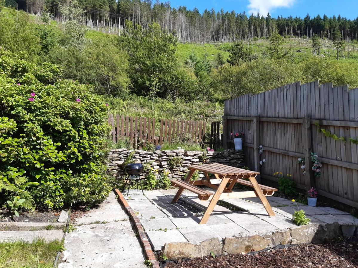 Afan Valley Home - Contractor Accommodation Port Talbot Kültér fotó