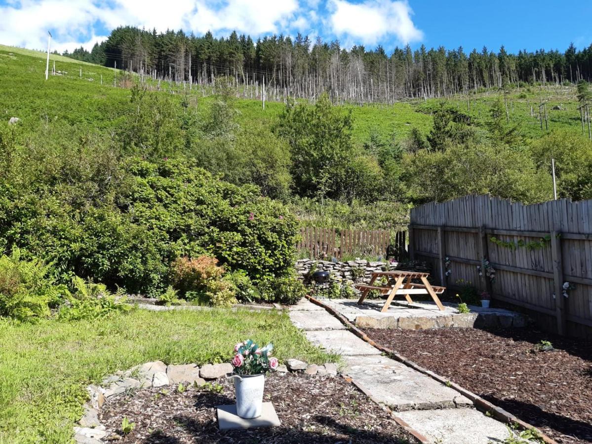 Afan Valley Home - Contractor Accommodation Port Talbot Kültér fotó