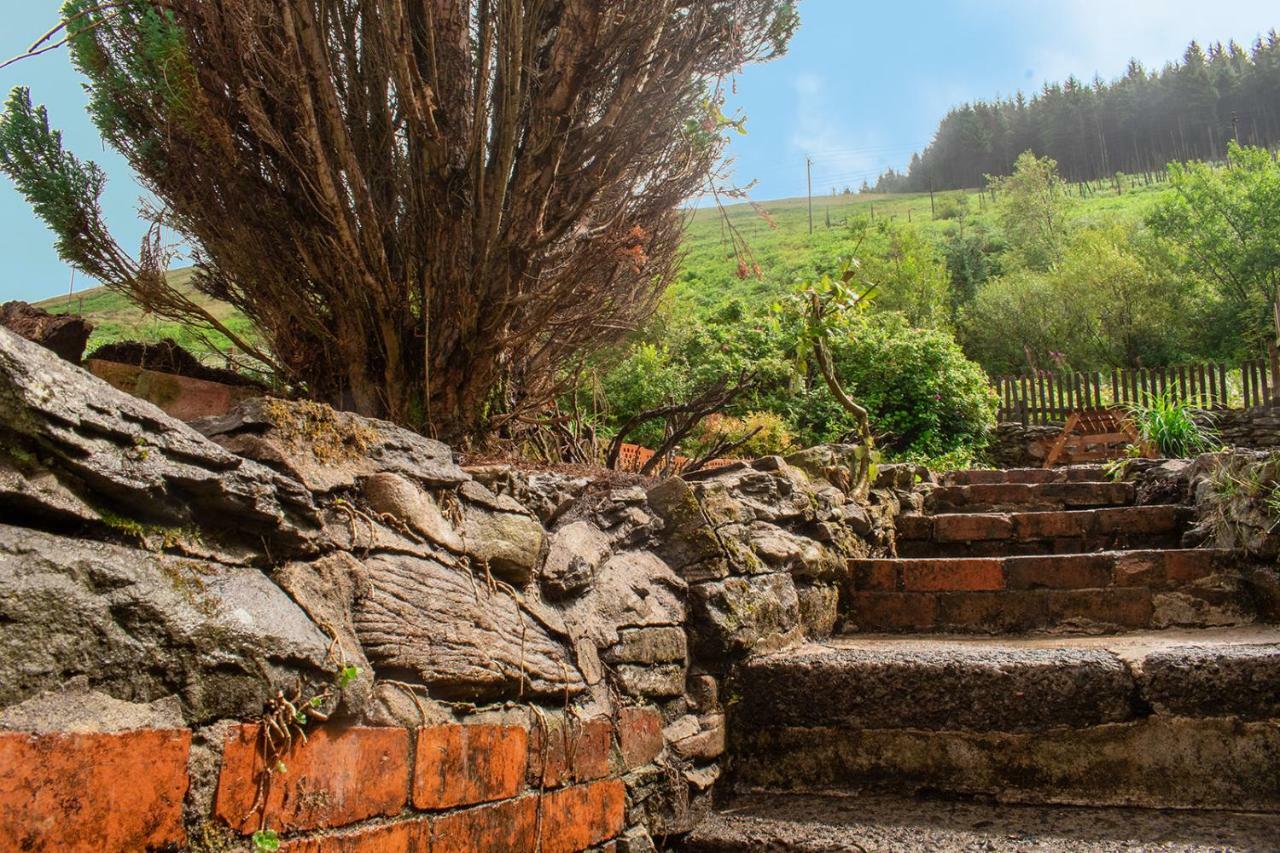 Afan Valley Home - Contractor Accommodation Port Talbot Kültér fotó
